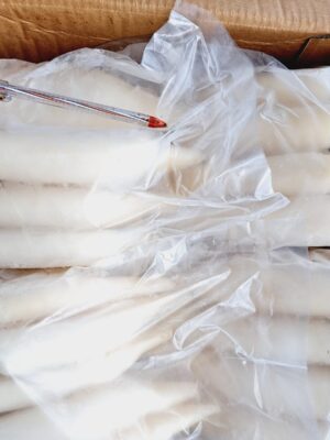 cumi tube (cumi kupas) cumi tube (cumi kupas)